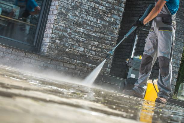 Best Graffiti Removal  in Manassas Park, VA